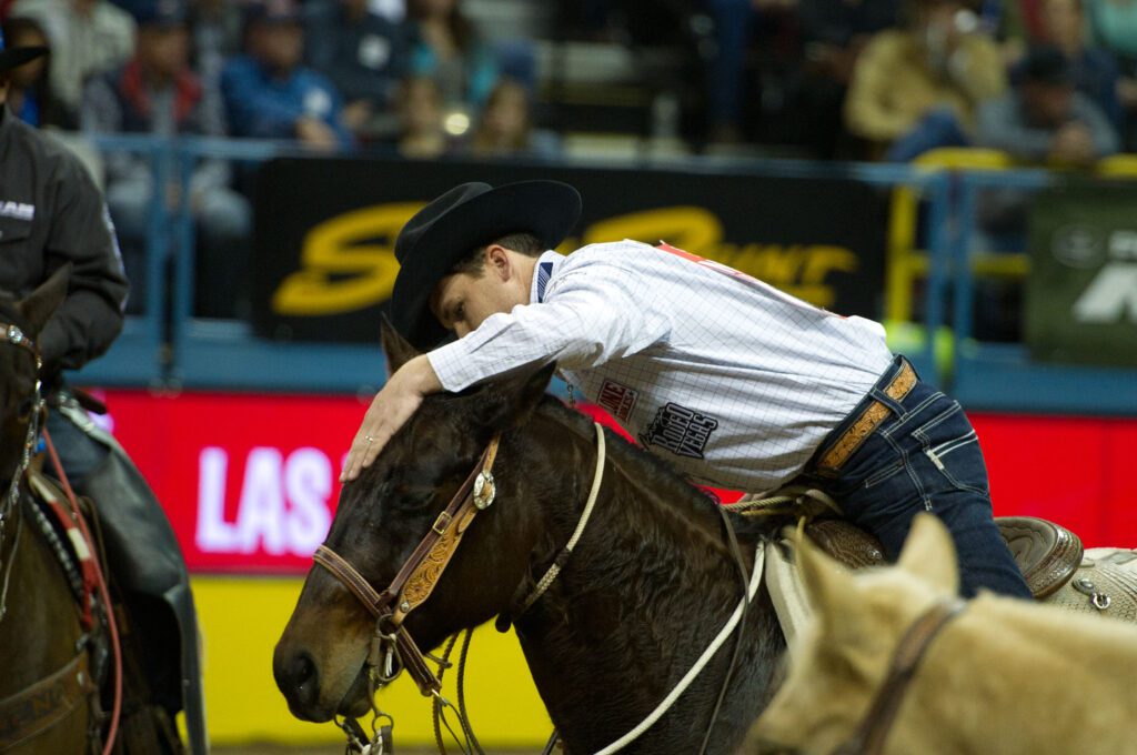 Cowboy Petting Horse Caleb Smidt at NFR