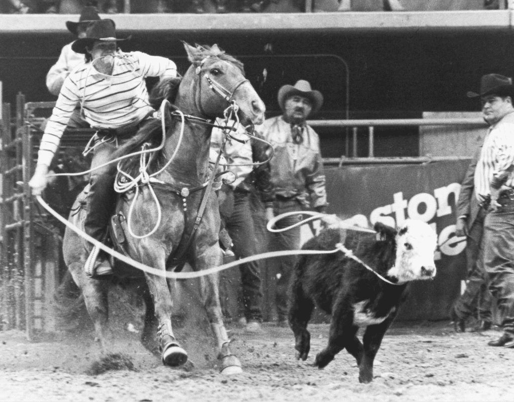 The History of Calf Roping, or TieDown Roping