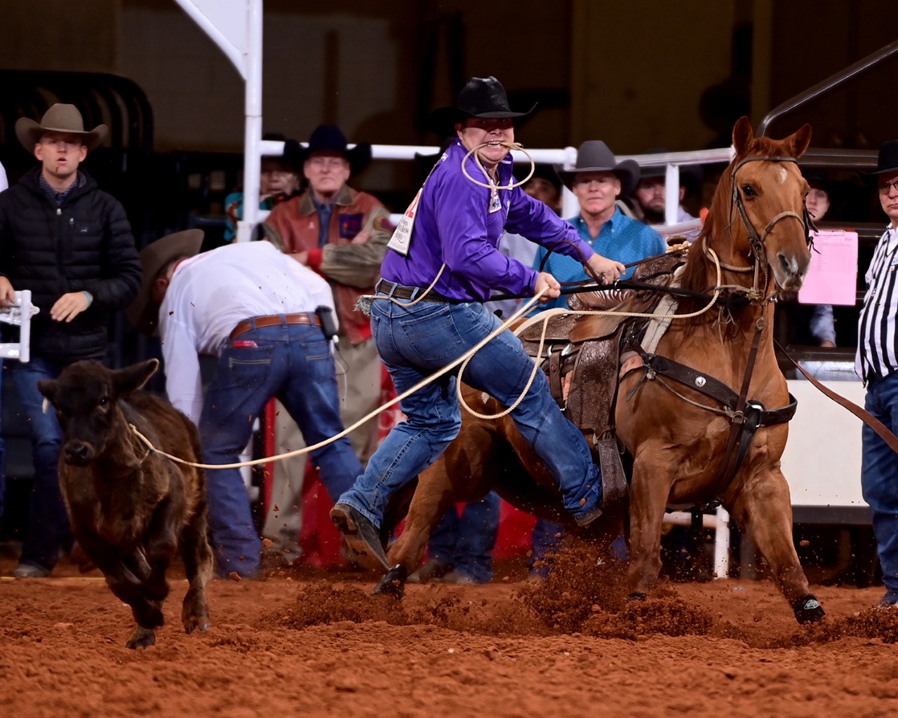 Westyn Hughes steps off his horse to tie-down this calf at Fort Worth Stock Show & Rodeo.
