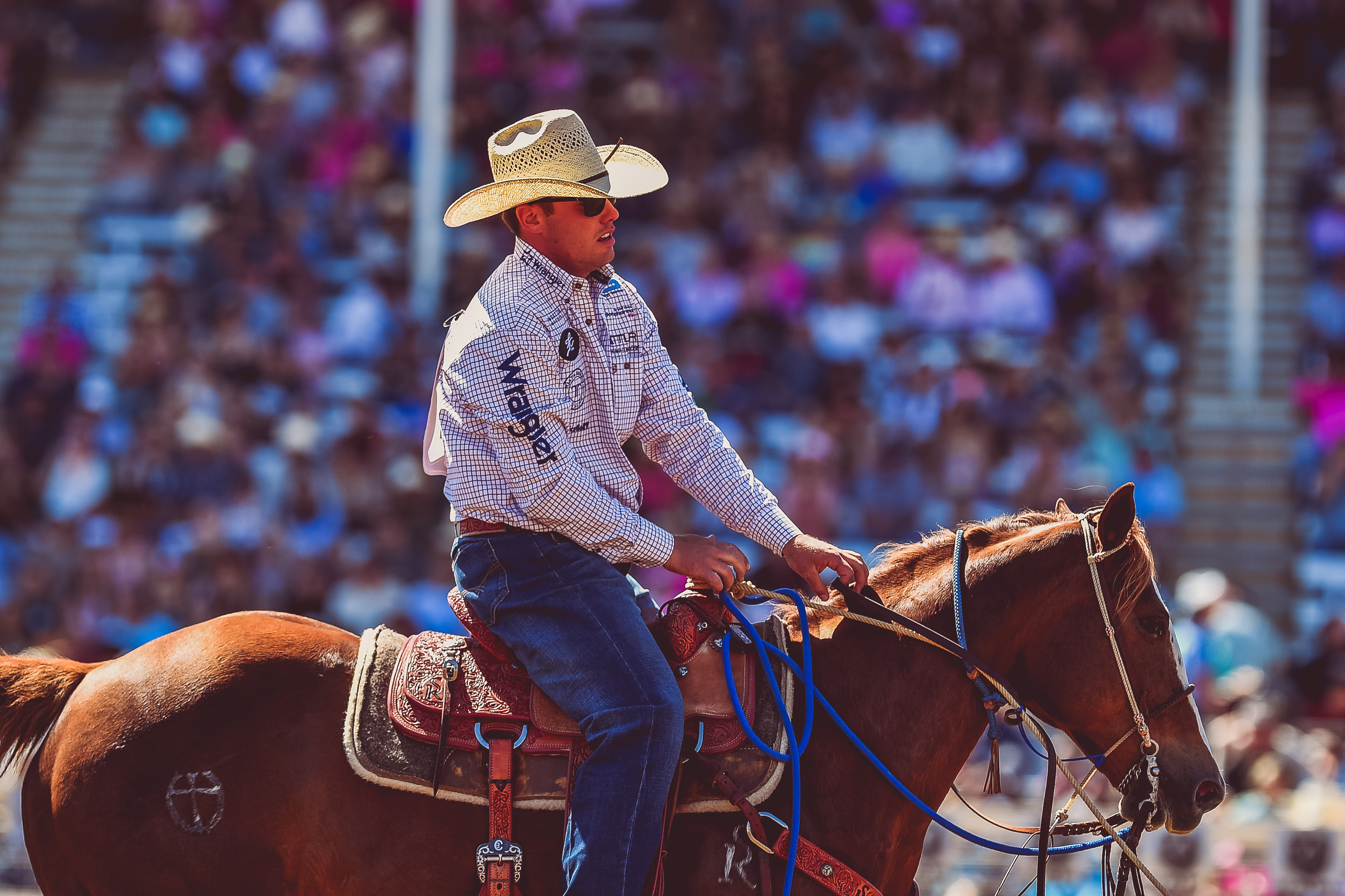 Blane Cox on his horse after tying his short round calf to win the 2023 Red Bluff Round-Up.