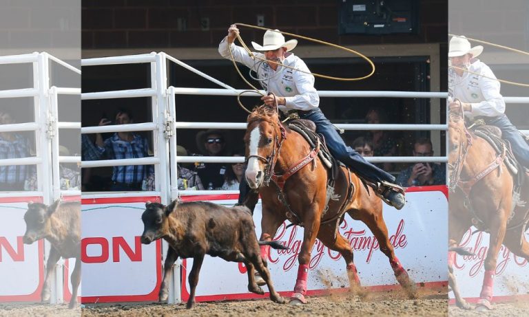 Beau Cooper, currently 9th in the PRCA tie-down standings, competing at the 2023 Calgary Stampede.