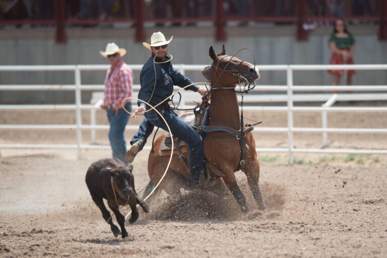 Luke potter dismounts to tie his calf at cheyenne frontier days
