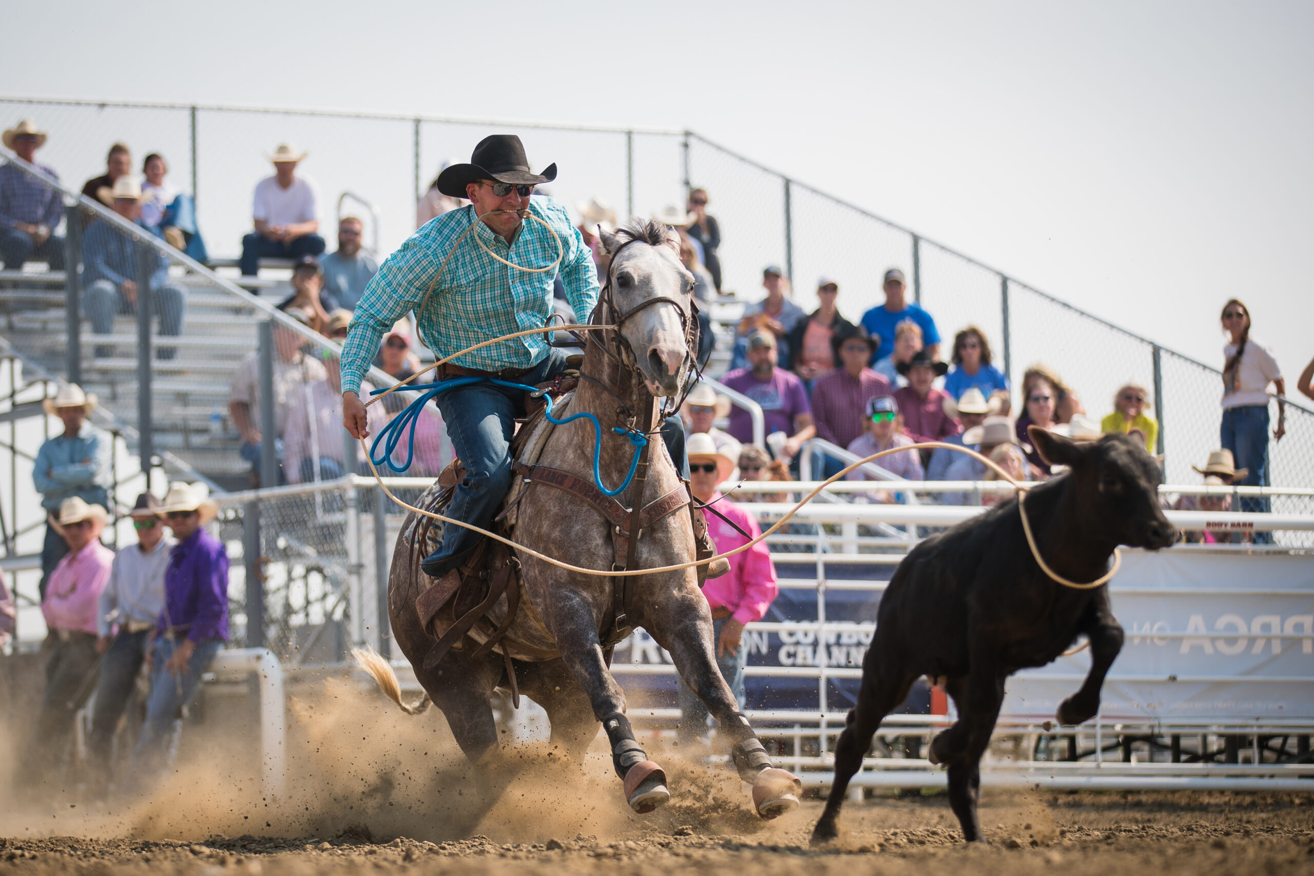Jason Schaffer calf roping at the Fallon County Fair & Rodeo in Baker, Montana.