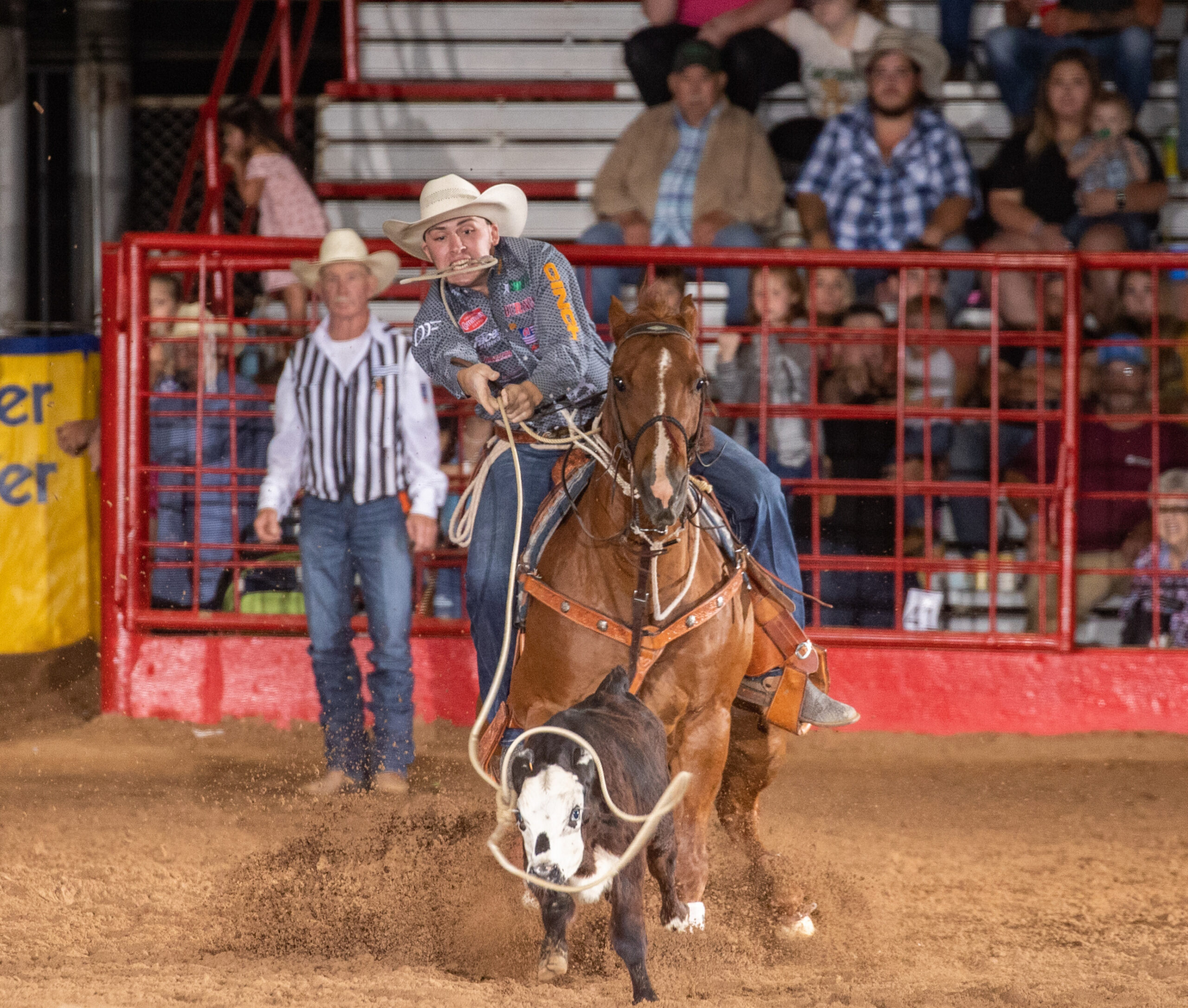 Riley Webb dismounts after roping a calf at the 2023 fort smith rodeo