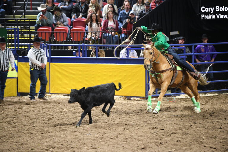 Cory Solomon running down his calf in the third round of the 2023 NFR.