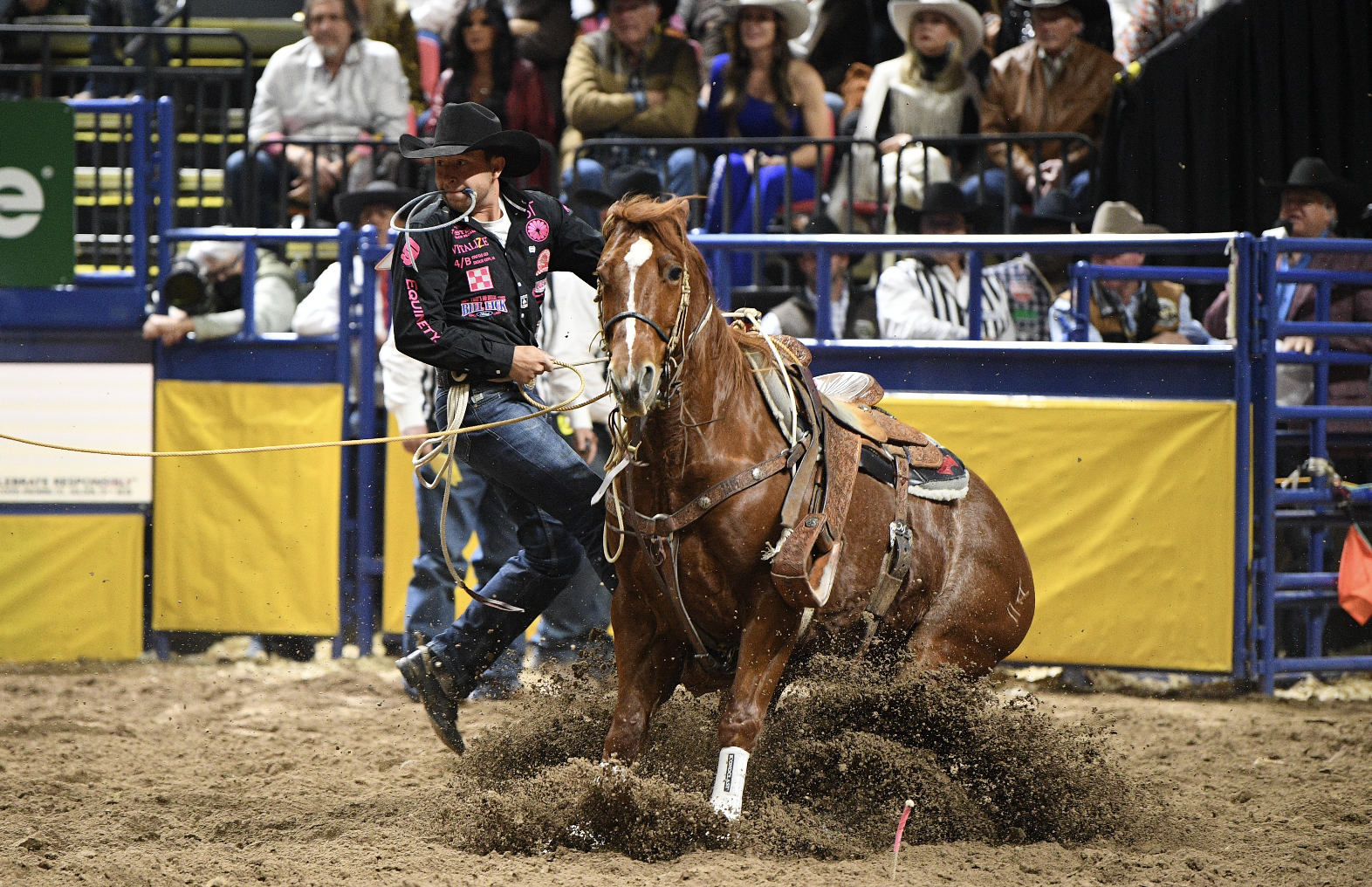Haven Meged proved his staying power throughout the NFR, winning the average and setting a new record with a time or 77.4 seconds on 10 head.