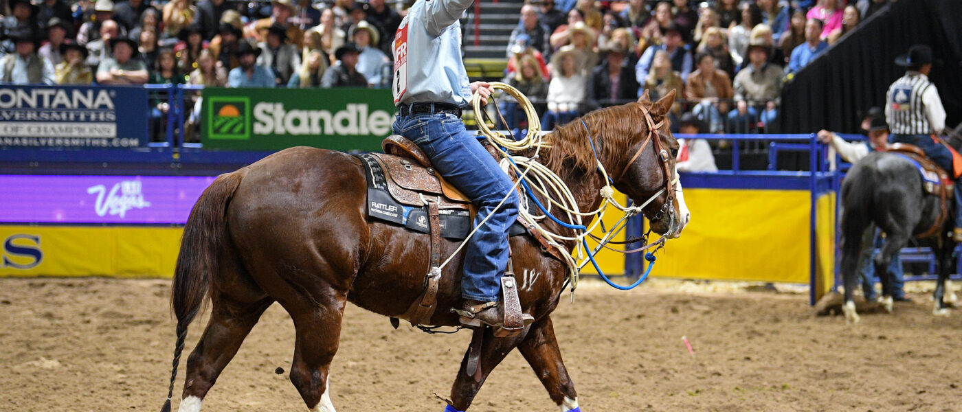 Riley Webb was undeniable throughout the 2023 season and NFR, winning more than $450,000.
