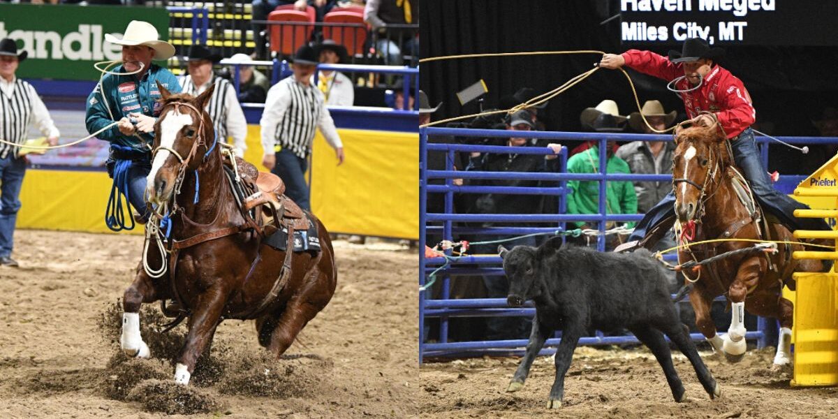 Riley Webb's "Rudy" and Haven Meged's "Lil Punch" are in the Top 5 winningest tie-down horses of the 2023 NFR.