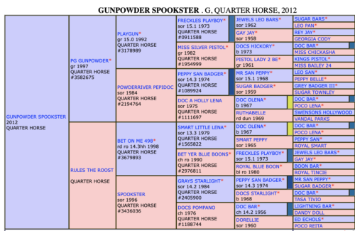 pedigree tree for 2011 Quarter Horse Gunpowder Spookster