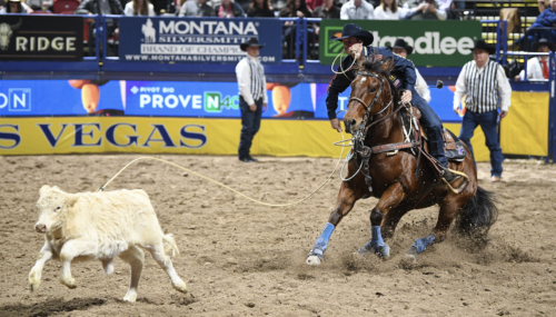 Shane Hanchey competed in Rounds 1 and 2 on Stylish Bugsy before stepping off the gelding.