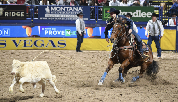 Shane Hanchey's Stylish Bugsy Out of NFR with Injury