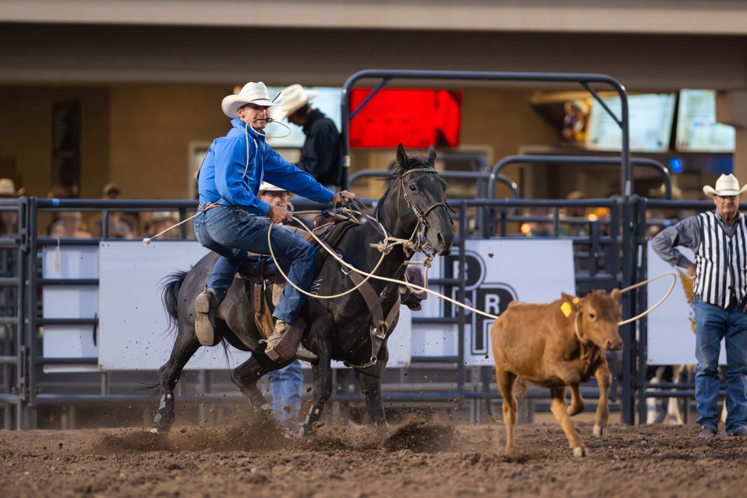 Bodie Mattson stepping off his horse to win the 2024 NFR Open.