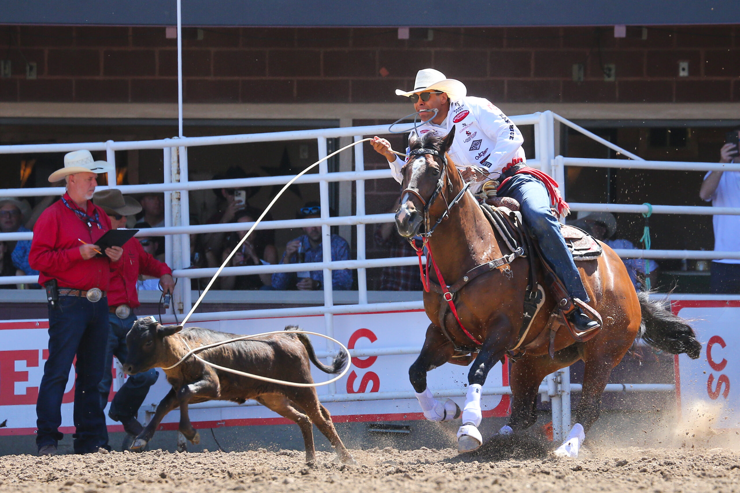 TieDown Roper's Guide to Calgary Stampede 2024 Results and More