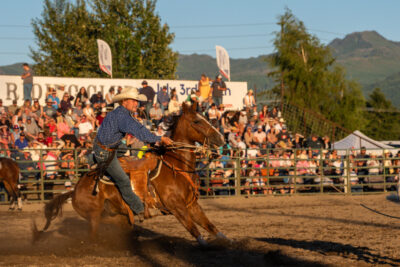 Tie-down Roping Legacy Gator Goodrich Strikes At Sedro-woolley