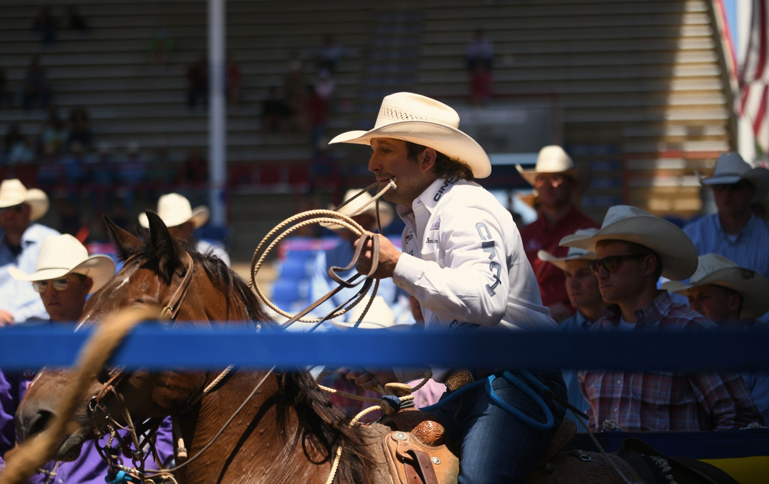 Ty Harris gathered up nearly $50K over Cowboy Christmas—a staggering feat any way you slice it.