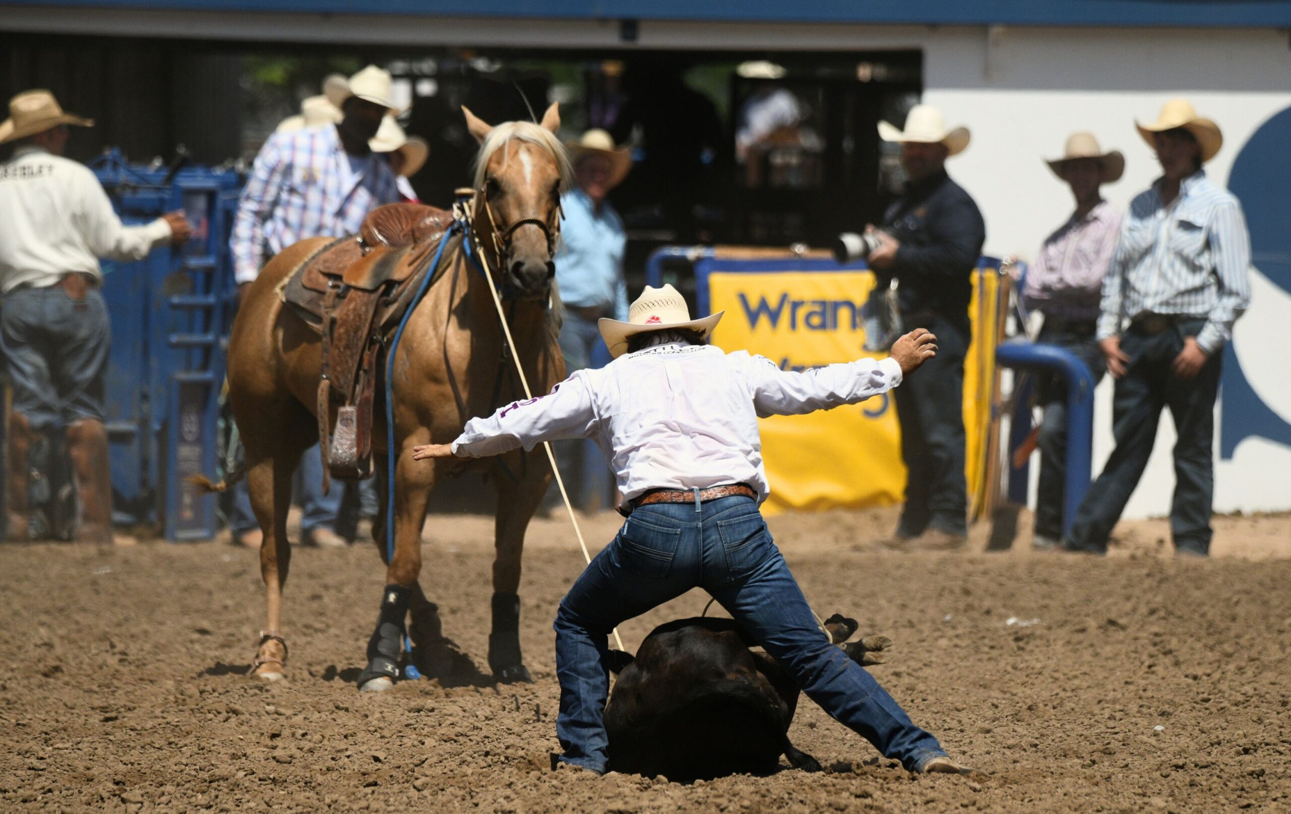 Ty Harris stops the clock at the 2024 Greeley Stampede with "Sally" holding strong at the end of the rope. 