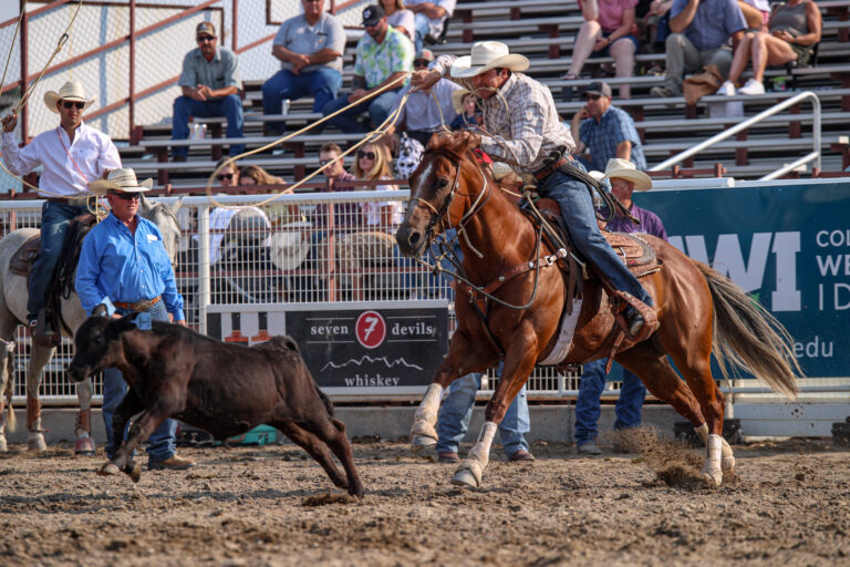 Zack Jongbloed about to rope a calf to win the 2024 Caldwell Night Rodeo.