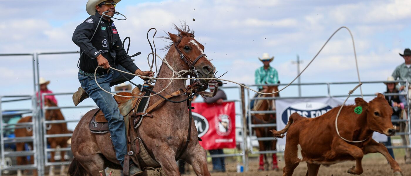 Junior Noguiera dismounts Resistol Rookie Gio Piloto's "Hollywood" on his way to a check at the Waterville, WA, rodeo.
