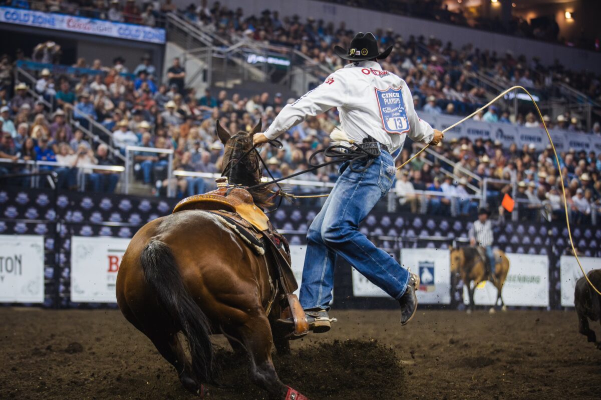 It’s Over These 15 Calf Ropers Qualified to the 2024 NFR