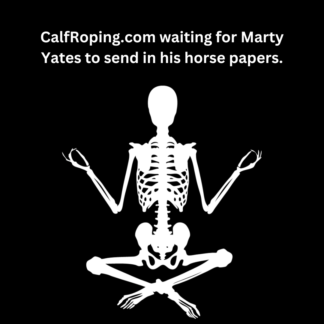 Waiting for Marty Yates horse papers like...Dinero