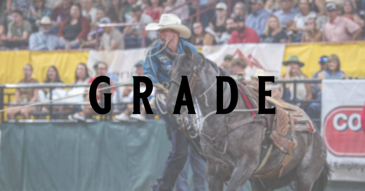 The Calf Roping Horses of the 2024 Cinch Playoffs Governor’s Cup