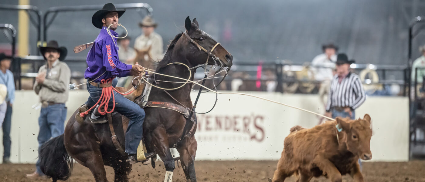 Shane Hanchey winning the average at the 2024 Hondo Rodeo Fest. | Click Thompson photo