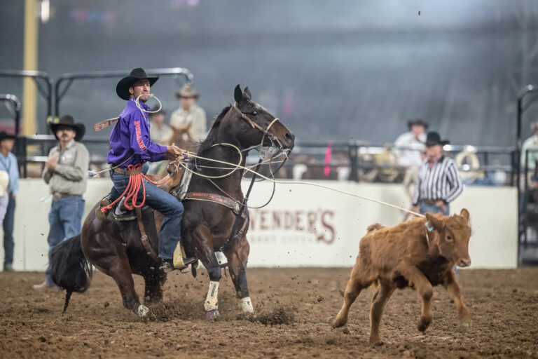 Shane Hanchey winning the average at the 2024 Hondo Rodeo Fest. | Click Thompson photo