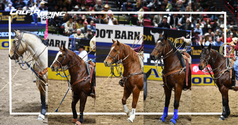 Peso, Rudy, Lil Punch, Earl and Rachel at the 2024 NFR.