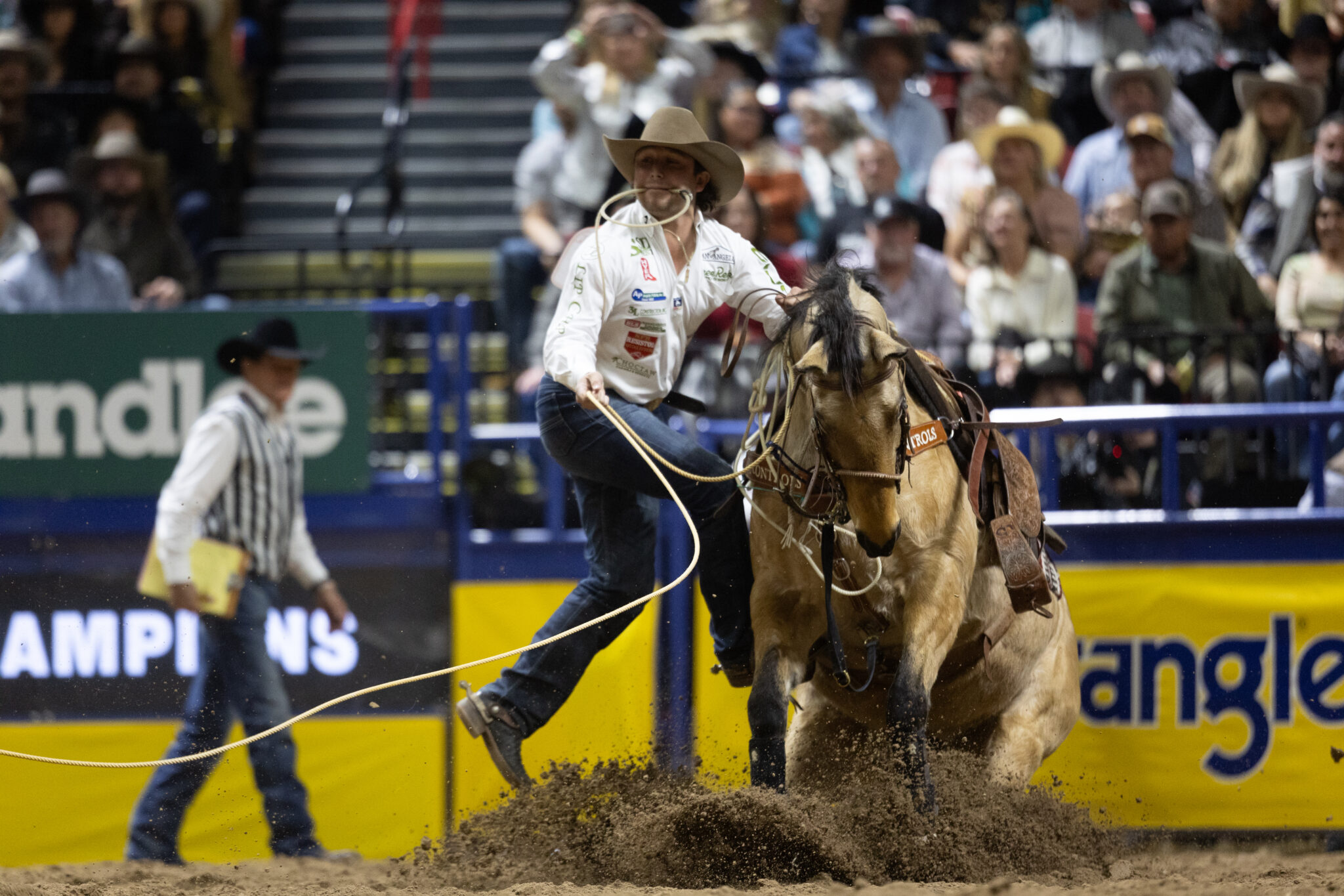 Riley Webb Moves To No. 1 In the World Standings 2024 NFR TieDown