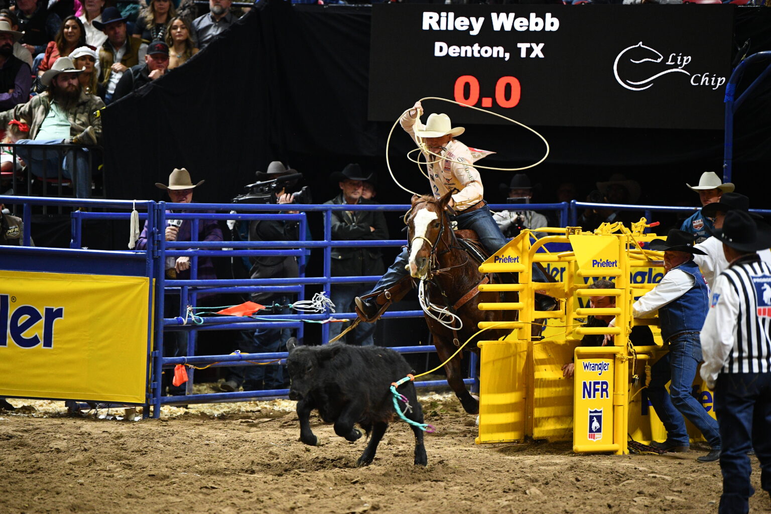 NFR 2024 Round 10 Calf Report