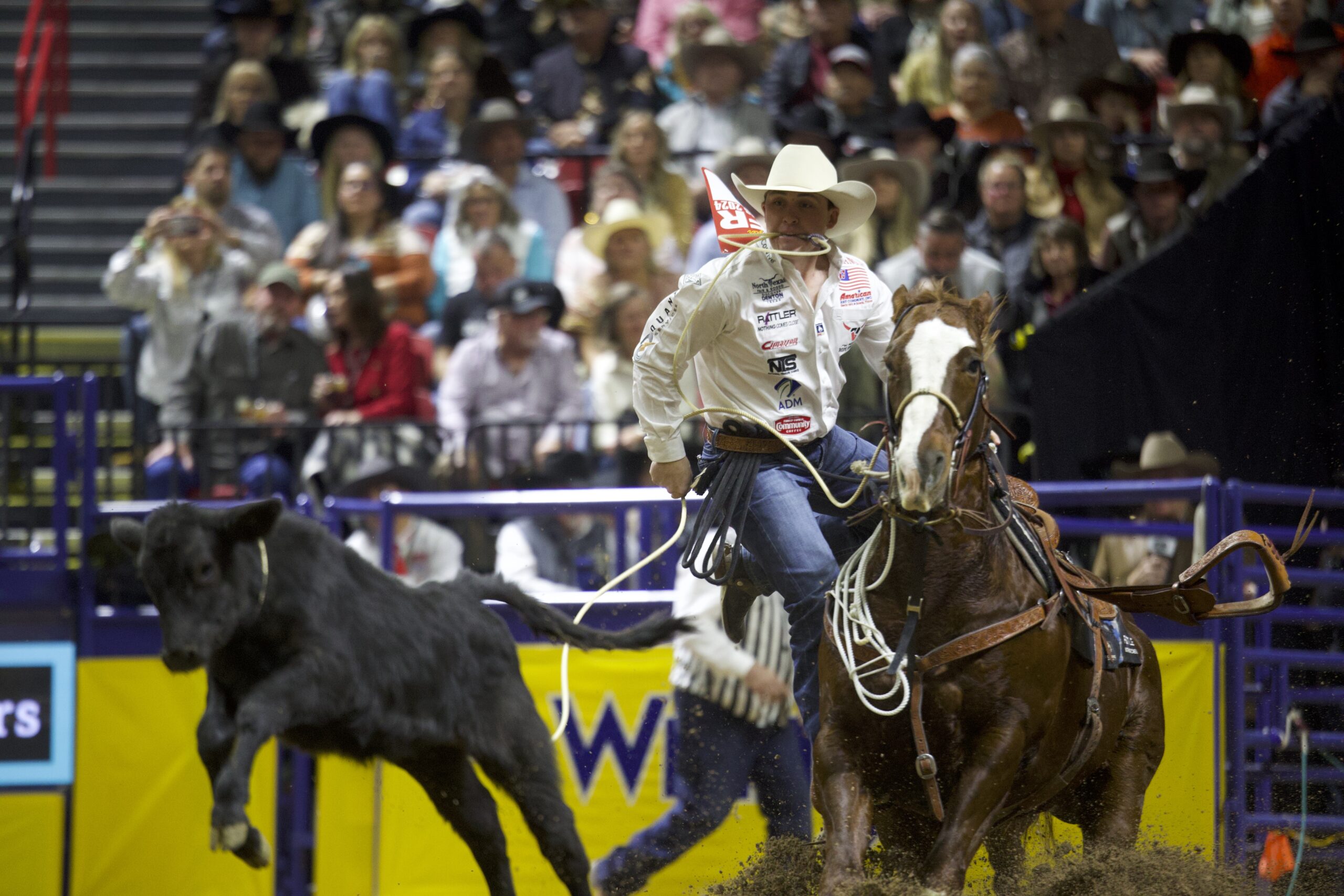 Full NFR TieDown Roping Results 2024