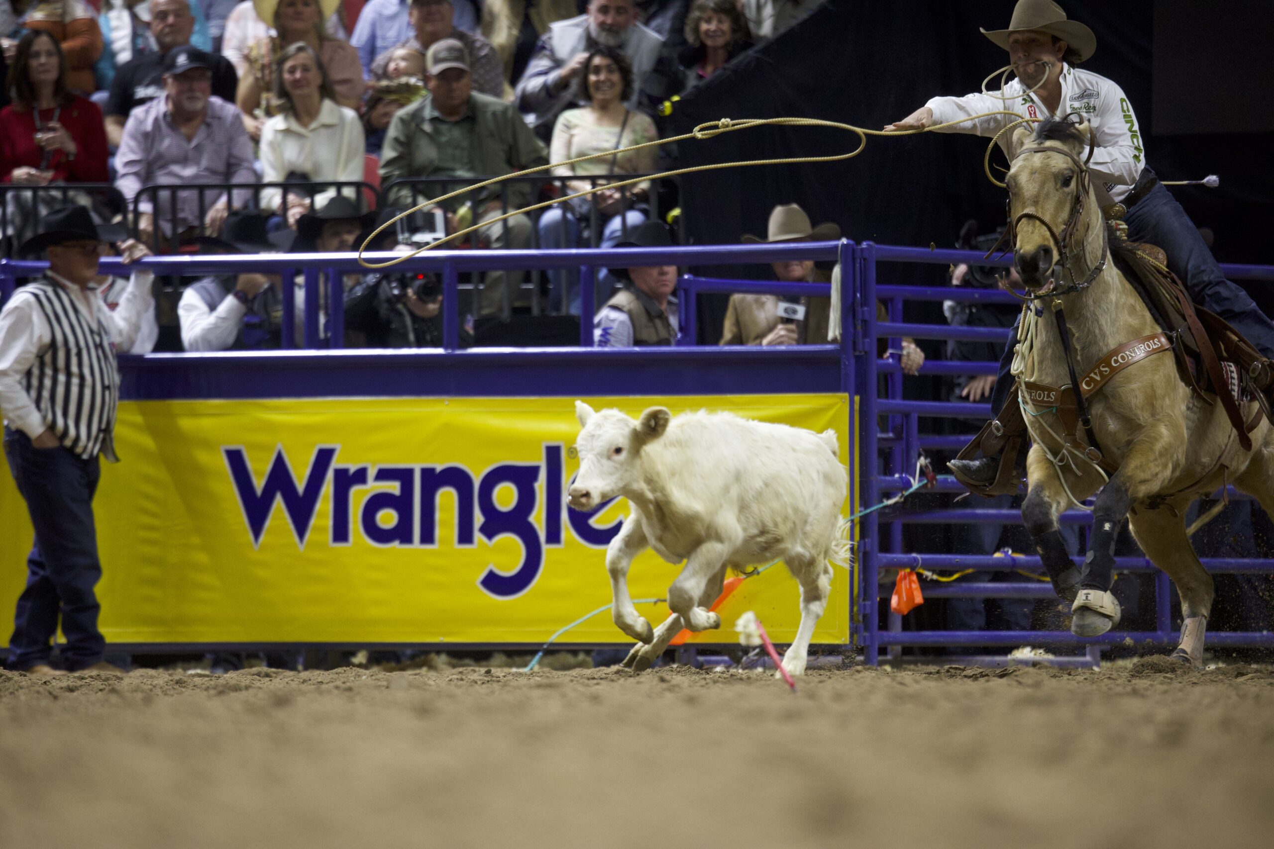 NFR 2024 Round 4 Calf Report