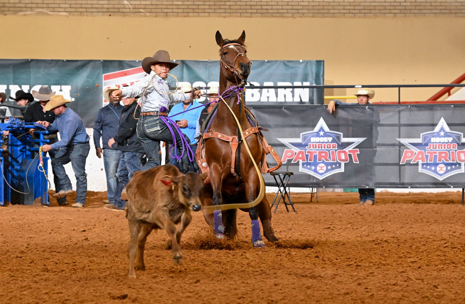 Jackson Ashton, 10, Rides 5-Year-Old Gelding to Patriot Victory