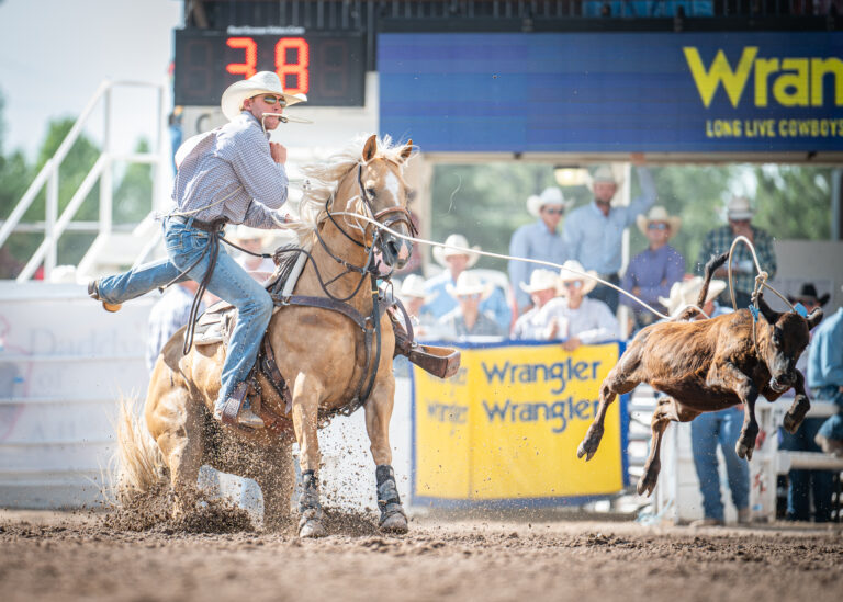 Riley Pruitt winning the qualifying round aboard Esther at the 2025 Cheyenne Frontier Days.