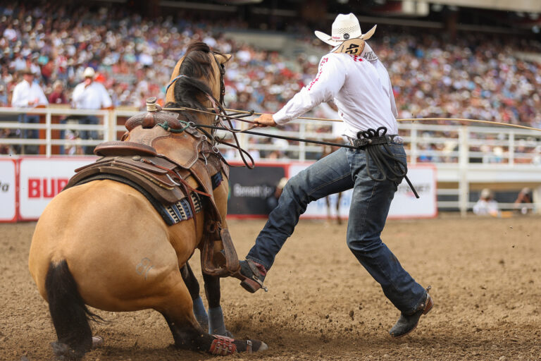 Shad Mayfield on Peso at the Calgary Stampede.