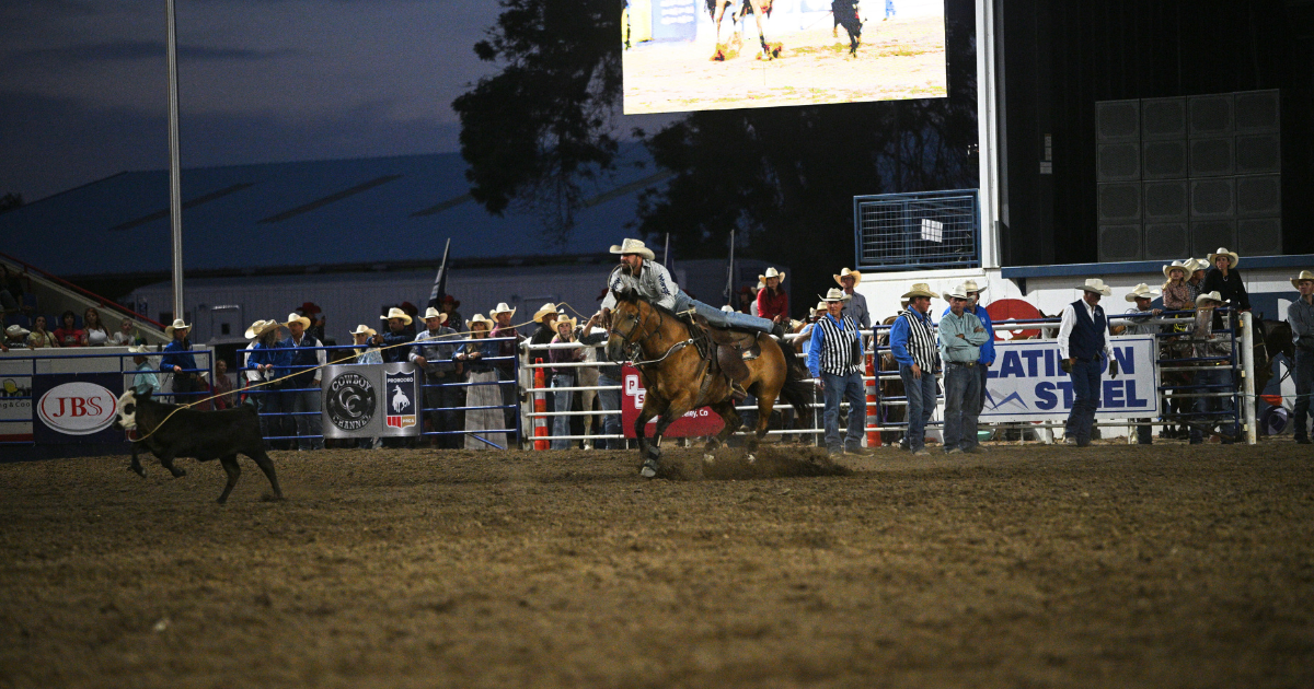 Michael Otero in the Greeley Stampede short round.