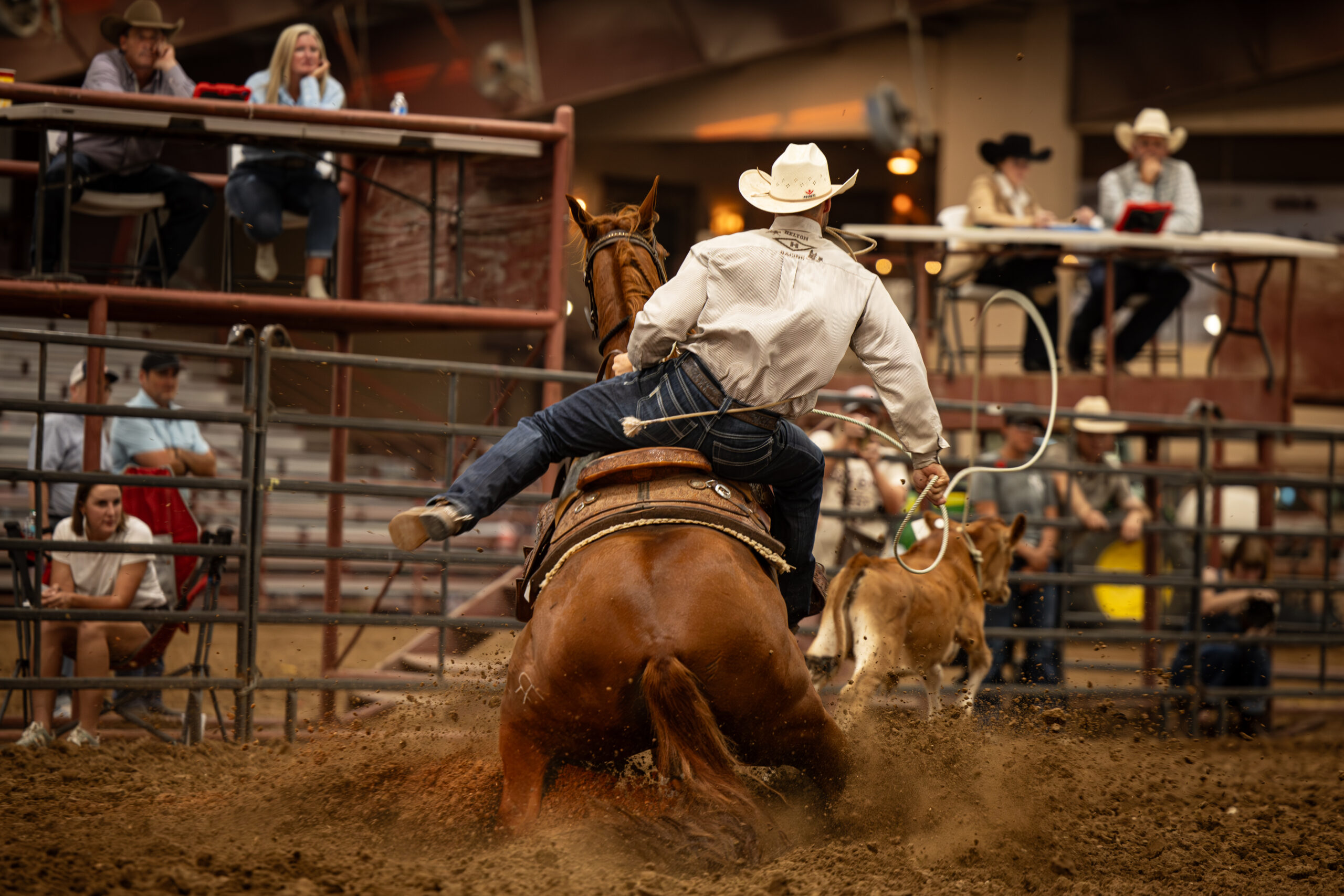 Tom Cats R Popular showcased his massive stops throughout the Solo Select Stallion Incentive Futurity.
