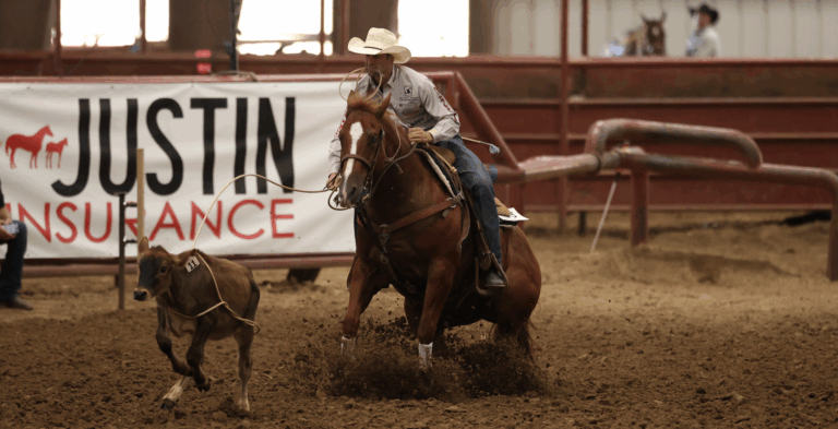 Shane Hanchey and Hez Talkin Smack dominated Rounds 1 through 3 of the Solo Select Stallion Incentive Futurity.