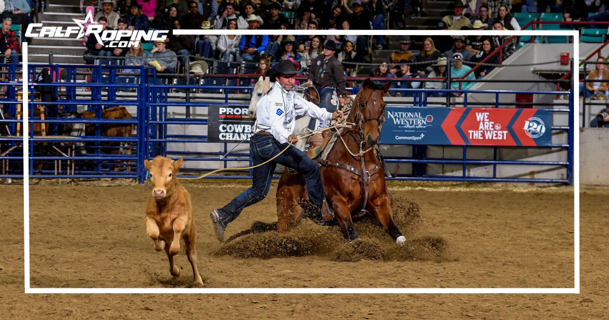 National Western Stock Show Calf Roping Results and More