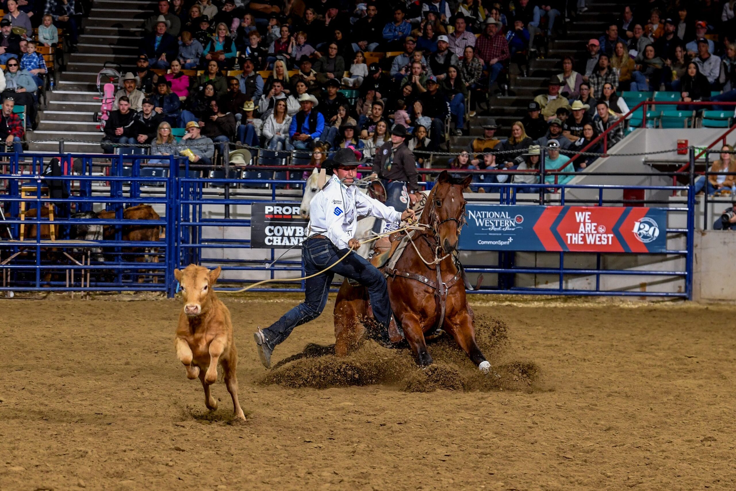 Haven Meged at the 2026 NWSSR.