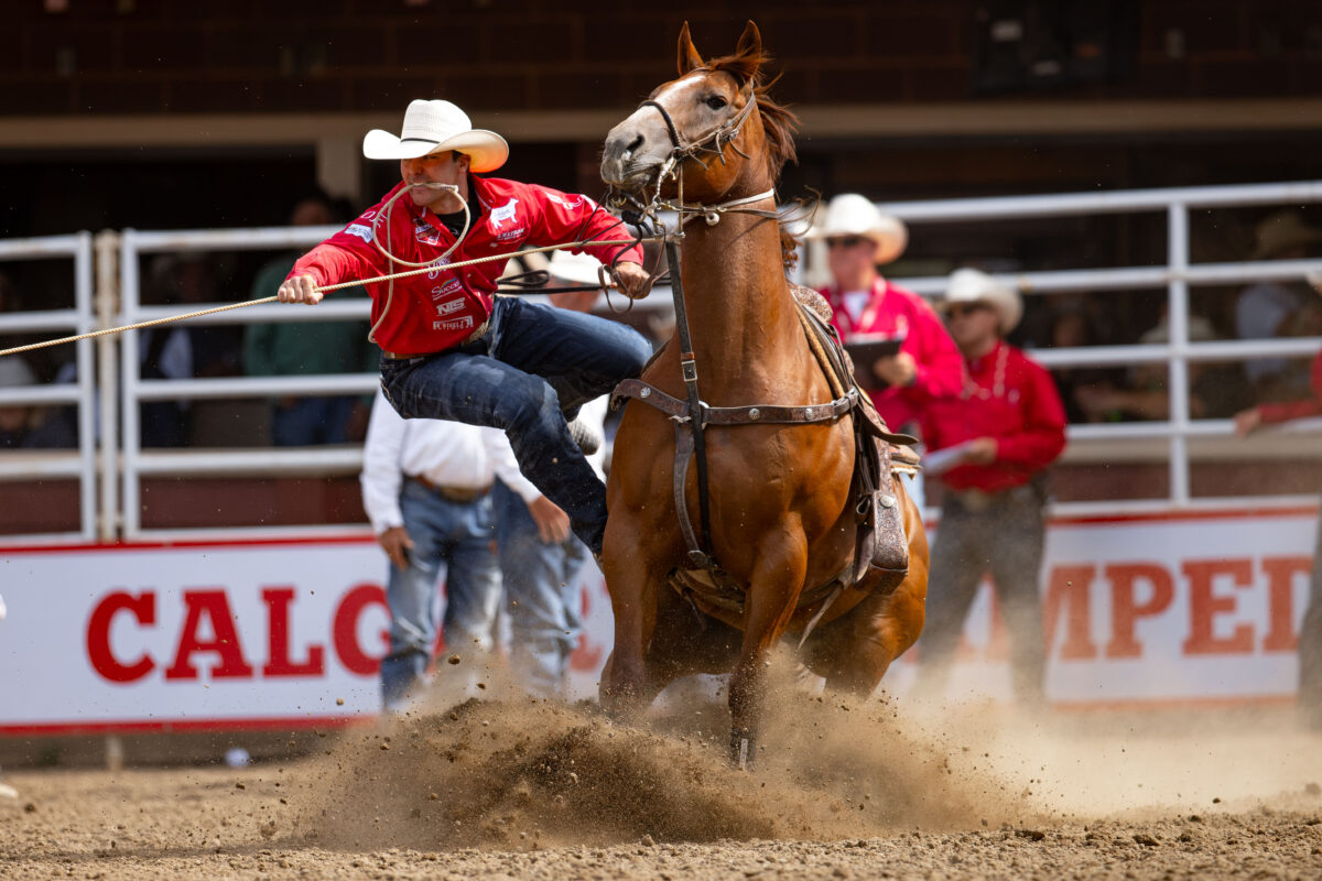 Zack Jongbloed and Gucci in the Showdown Round at Calgary.
