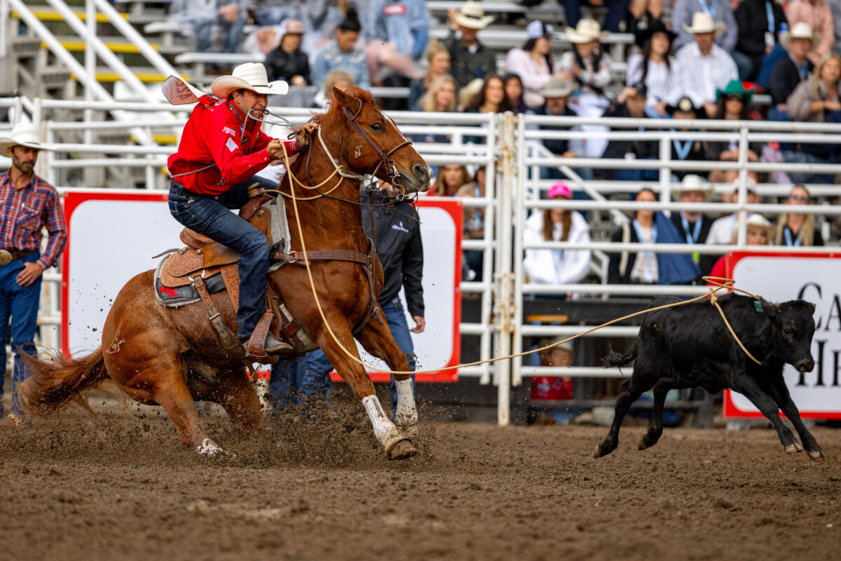 Haven Meged and Lil Punch topping Pool A at the 2026 Calgary Stampede.