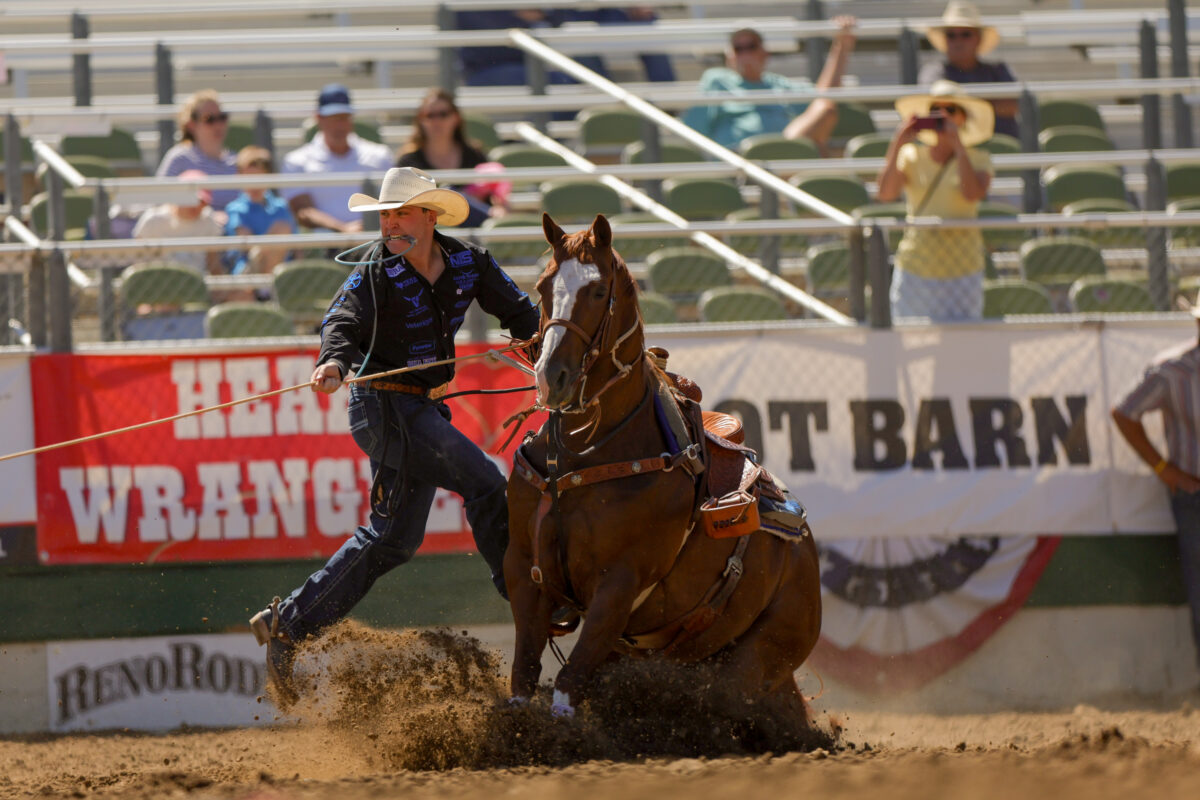 Riley Webb and Marked Up Cat "Rudy" at the Reno Rodeo in 2026.