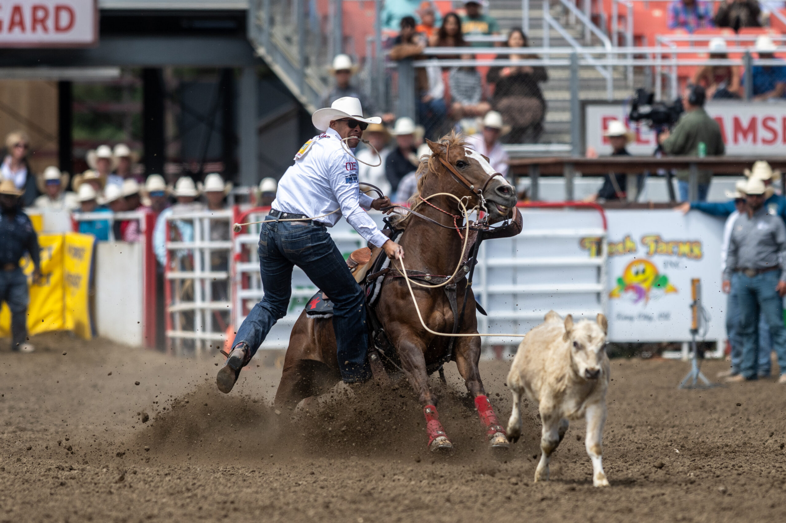 Shad Mayfield and Tootsie Pop at Salinas.