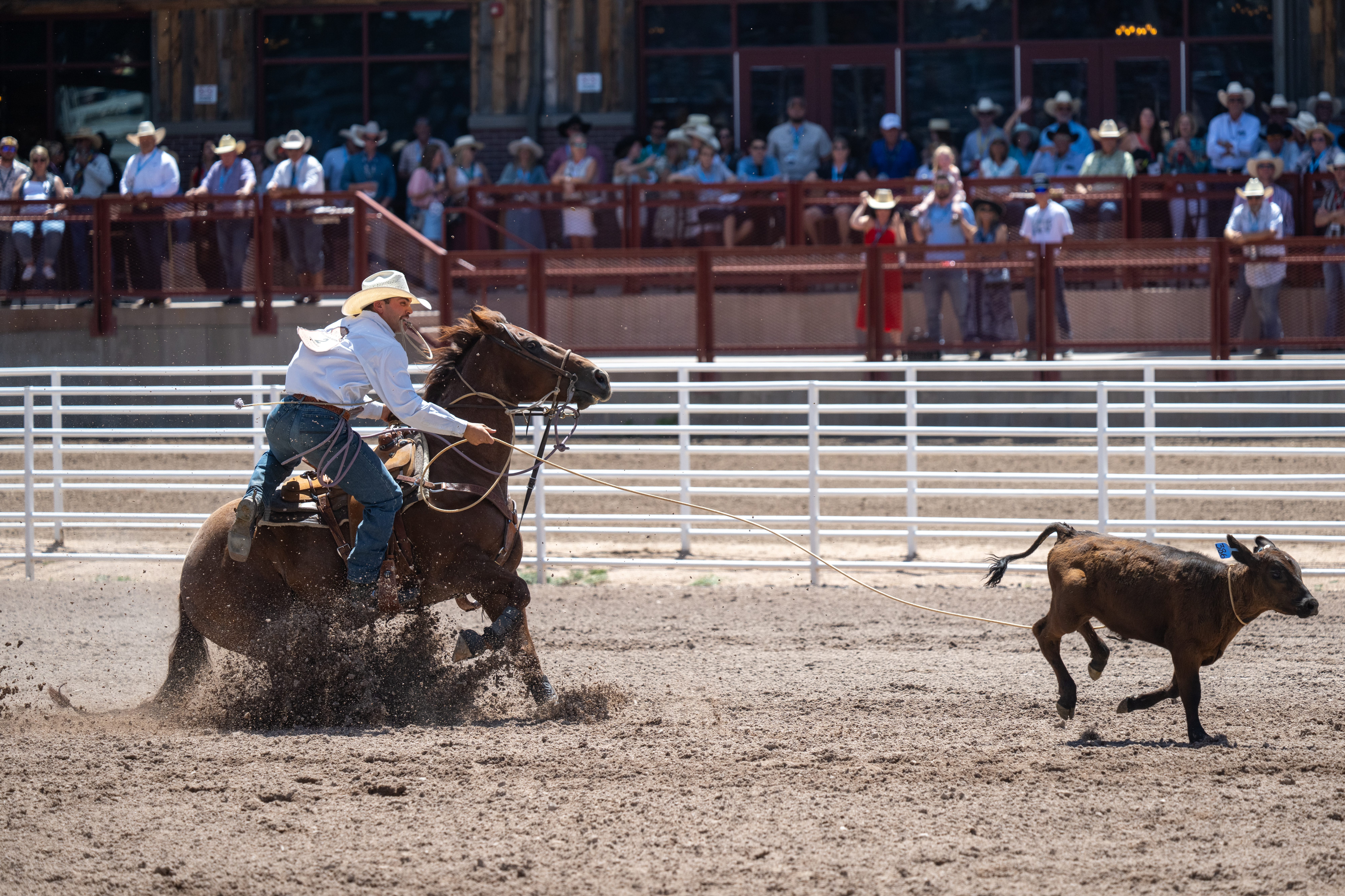 cole eiguren cheyenne frontier days