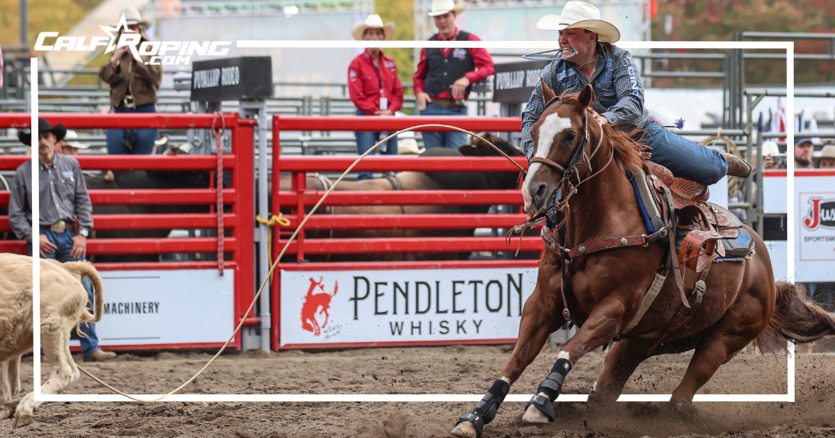 The Calf Roping Horses of the 2026 Puyallup Semifinals